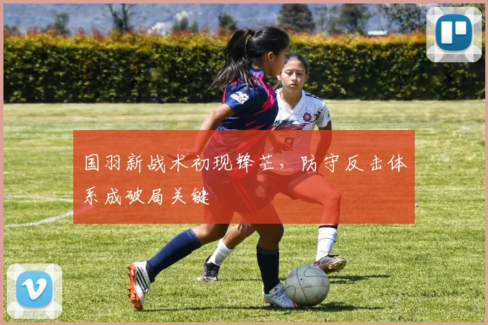 国羽新战术初现锋芒，防守反击体系成破局关键