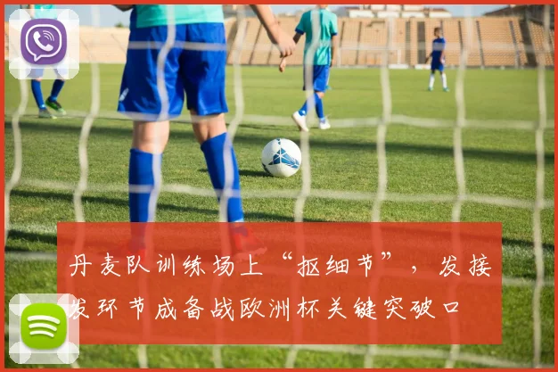 丹麦队训练场上“抠细节”，发接发环节成备战欧洲杯关键突破口