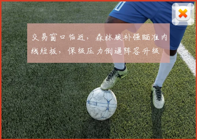 交易窗口临近，森林狼补强瞄准内线短板，保级压力倒逼阵容升级