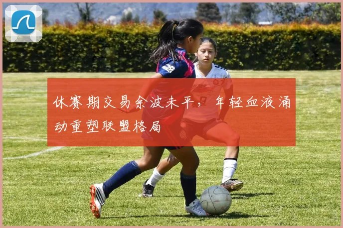 休赛期交易余波未平，年轻血液涌动重塑联盟格局